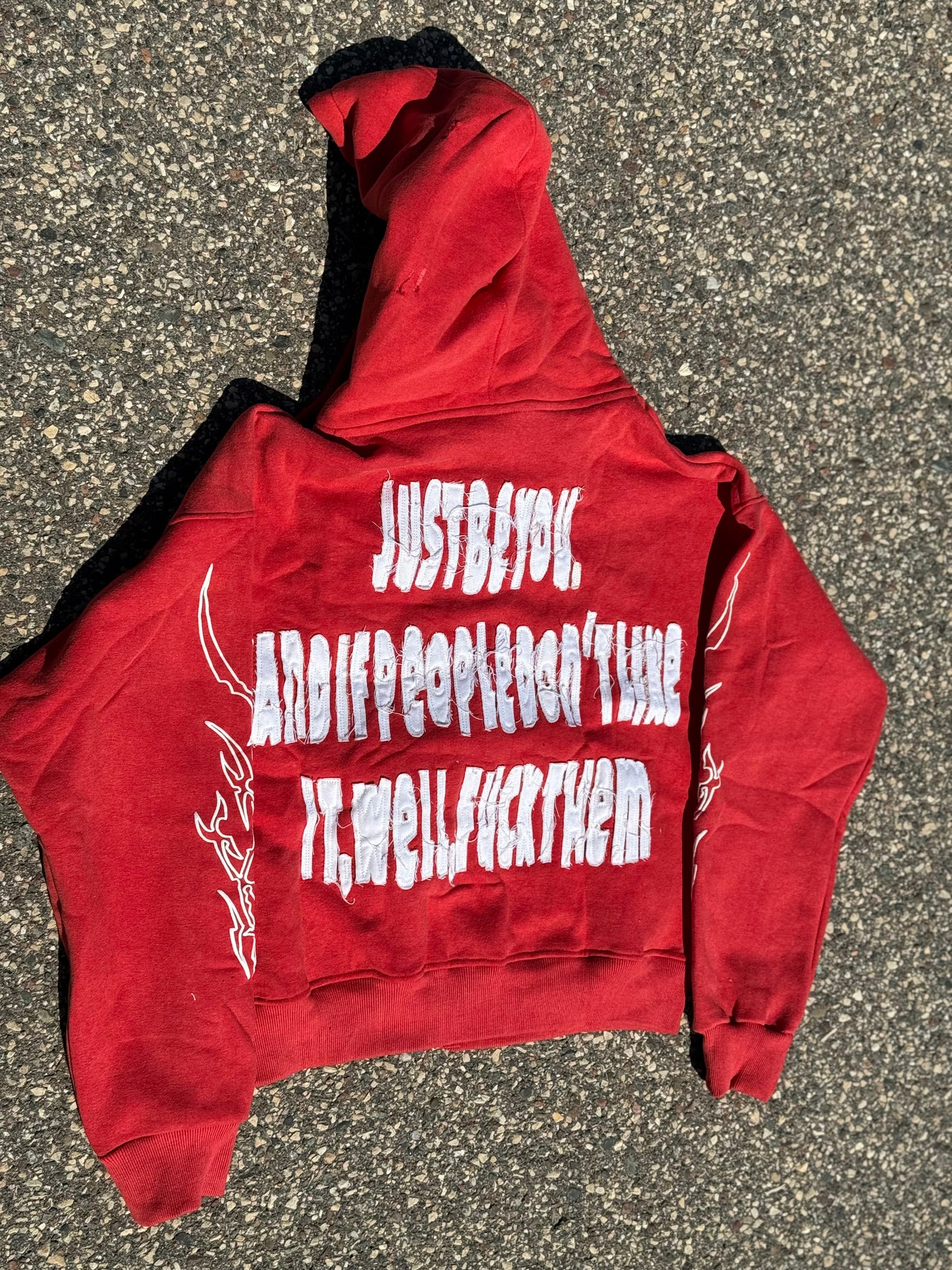 NOT A ROLE MODEL Zip up hoodie